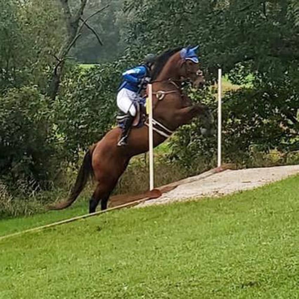 Meet your Posher, Andrea